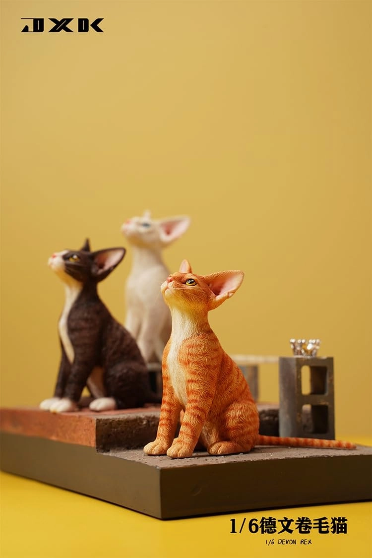 1:6 Scale Devon Rex Model Figure Felidae Resin Cute Cat Model Pet Animal Collector Gift for Adult (JXK123B5)
