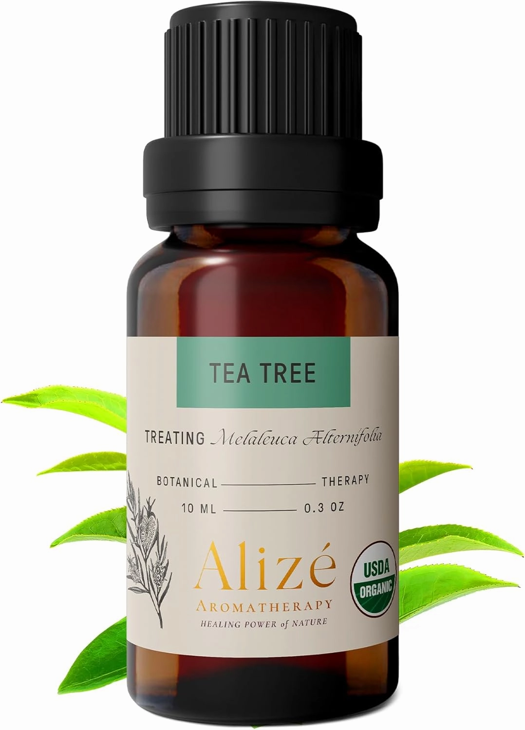 Alizé Tea Tree Essential Oil, USDA Certified Organic 100% Natural & Pure Undiluted Essential Oils for Diffusers for Home, Aromatherapy Oils, Diffuser Oils Scents, Cleansing, Soothing, 10ml-0.33 fl oz