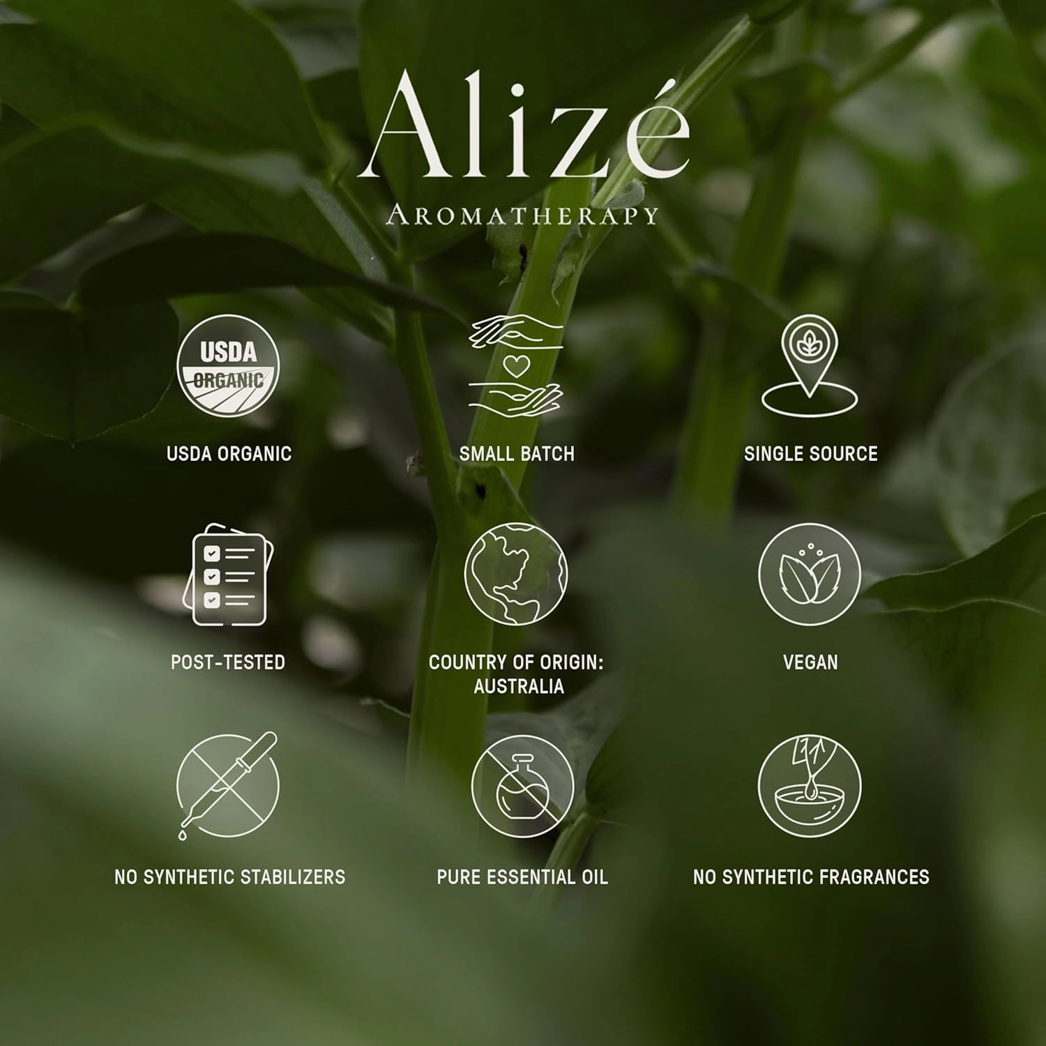 Alizé Tea Tree Essential Oil, USDA Certified Organic 100% Natural & Pure Undiluted Essential Oils for Diffusers for Home, Aromatherapy Oils, Diffuser Oils Scents, Cleansing, Soothing, 10ml-0.33 fl oz