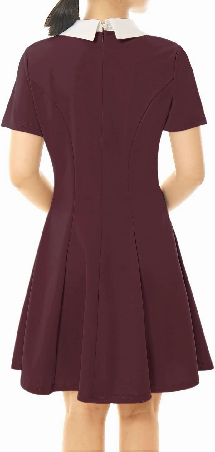 Allegra K Women's Short Sleeve Peter Pan Collar Cute Dress Casual Flare Skater Mini Dress Maid Costume