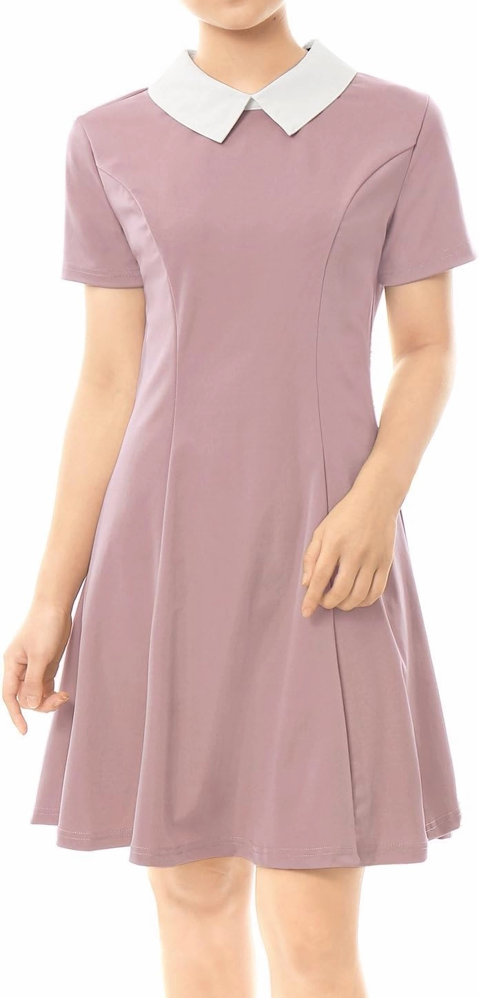Allegra K Women's Short Sleeve Peter Pan Collar Cute Dress Casual Flare Skater Mini Dress Maid Costume