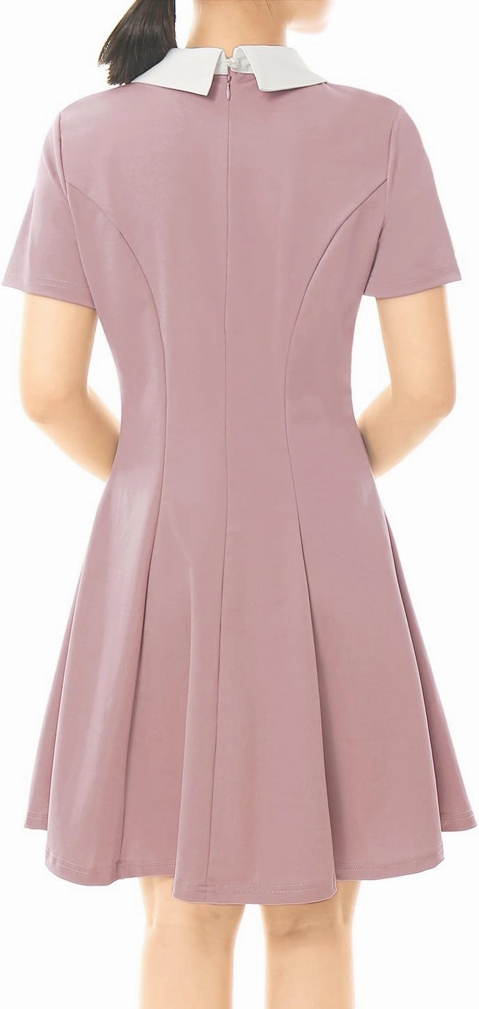Allegra K Women's Short Sleeve Peter Pan Collar Cute Dress Casual Flare Skater Mini Dress Maid Costume