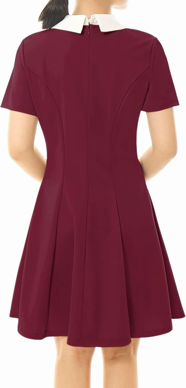 Allegra K Women's Short Sleeve Peter Pan Collar Cute Dress Casual Flare Skater Mini Dress Maid Costume