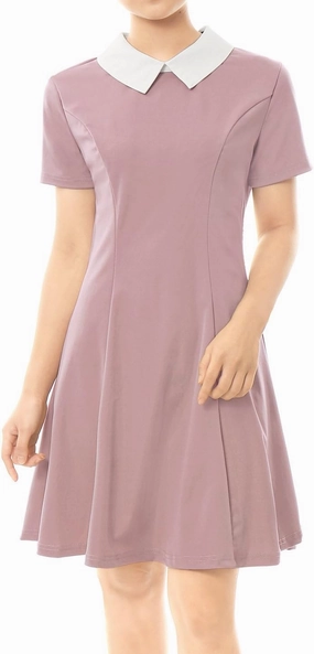 Allegra K Women's Short Sleeve Peter Pan Collar Cute Dress Casual Flare Skater Mini Dress Maid Costume
