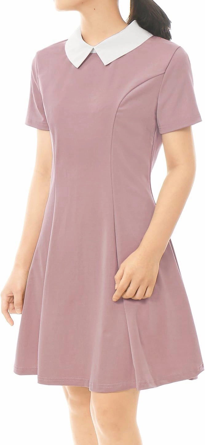 Allegra K Women's Short Sleeve Peter Pan Collar Cute Dress Casual Flare Skater Mini Dress Maid Costume