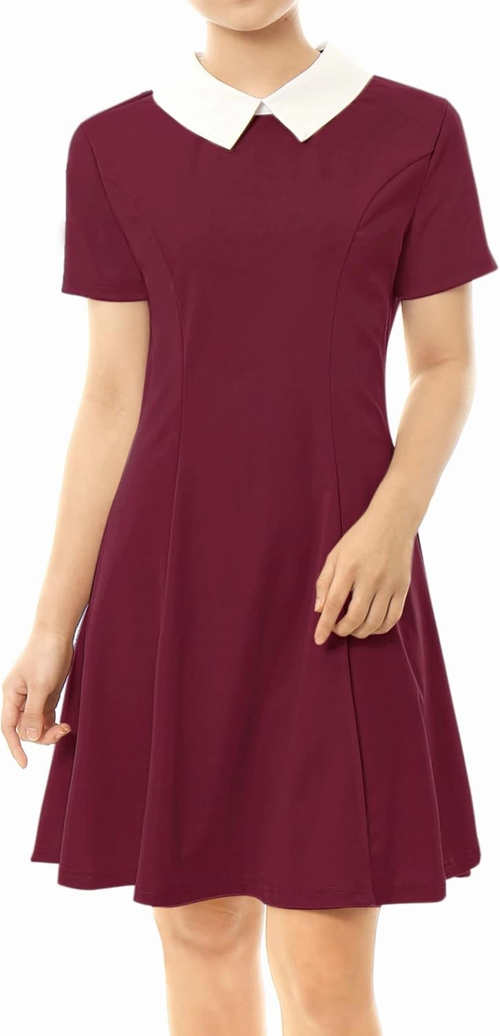 Allegra K Women's Short Sleeve Peter Pan Collar Cute Dress Casual Flare Skater Mini Dress Maid Costume