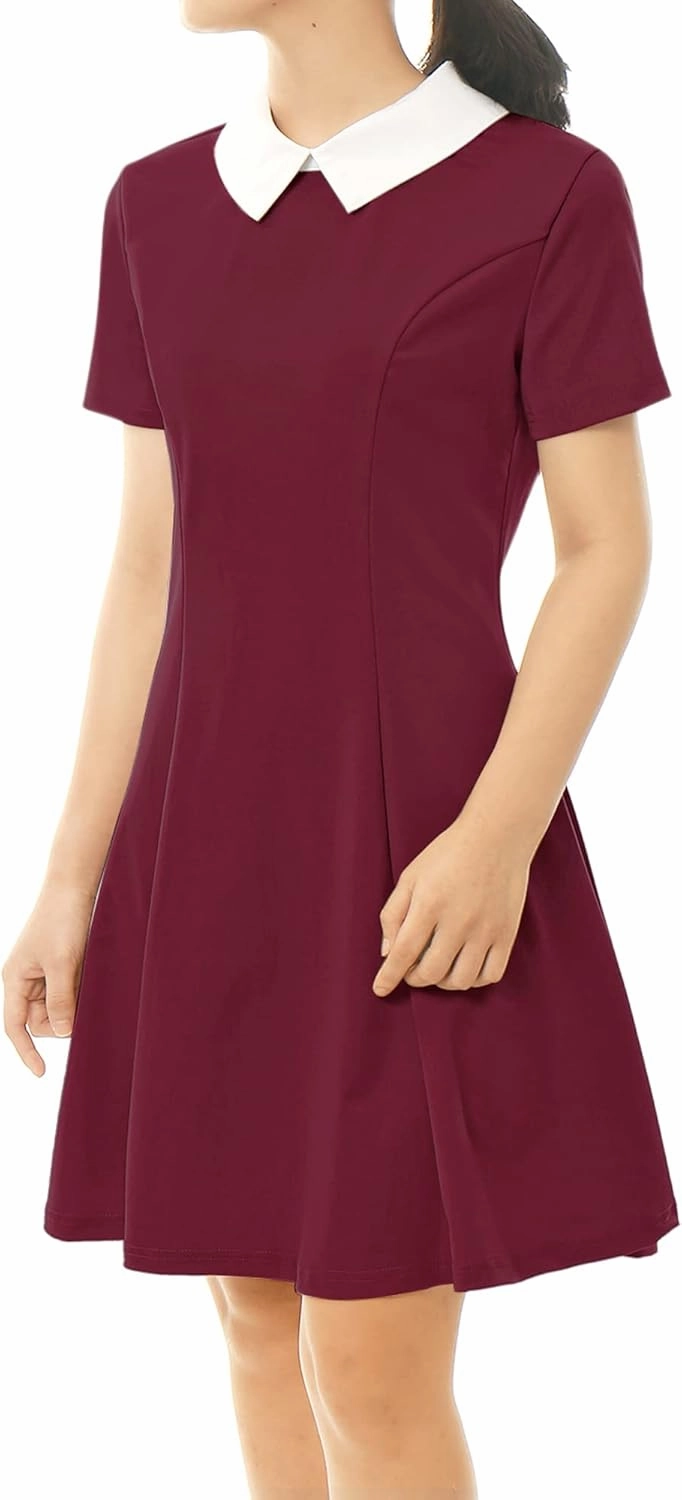 Allegra K Women's Short Sleeve Peter Pan Collar Cute Dress Casual Flare Skater Mini Dress Maid Costume