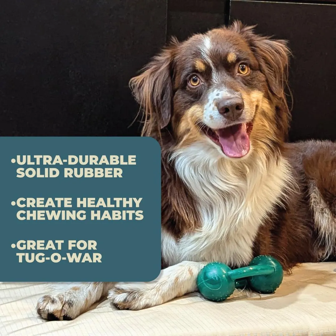 Alpha - Chew - Tough Tug-of-War Pet-Safe Rubber Dog Toy - Choose Your Color - 6" L × 2.5" W × 3.5" H (Green)