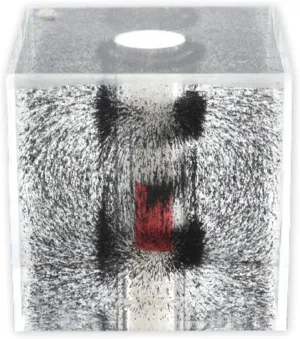 American Scientific Acrylic Cube Magnetic Snow Globe with Iron Filings & Fluid