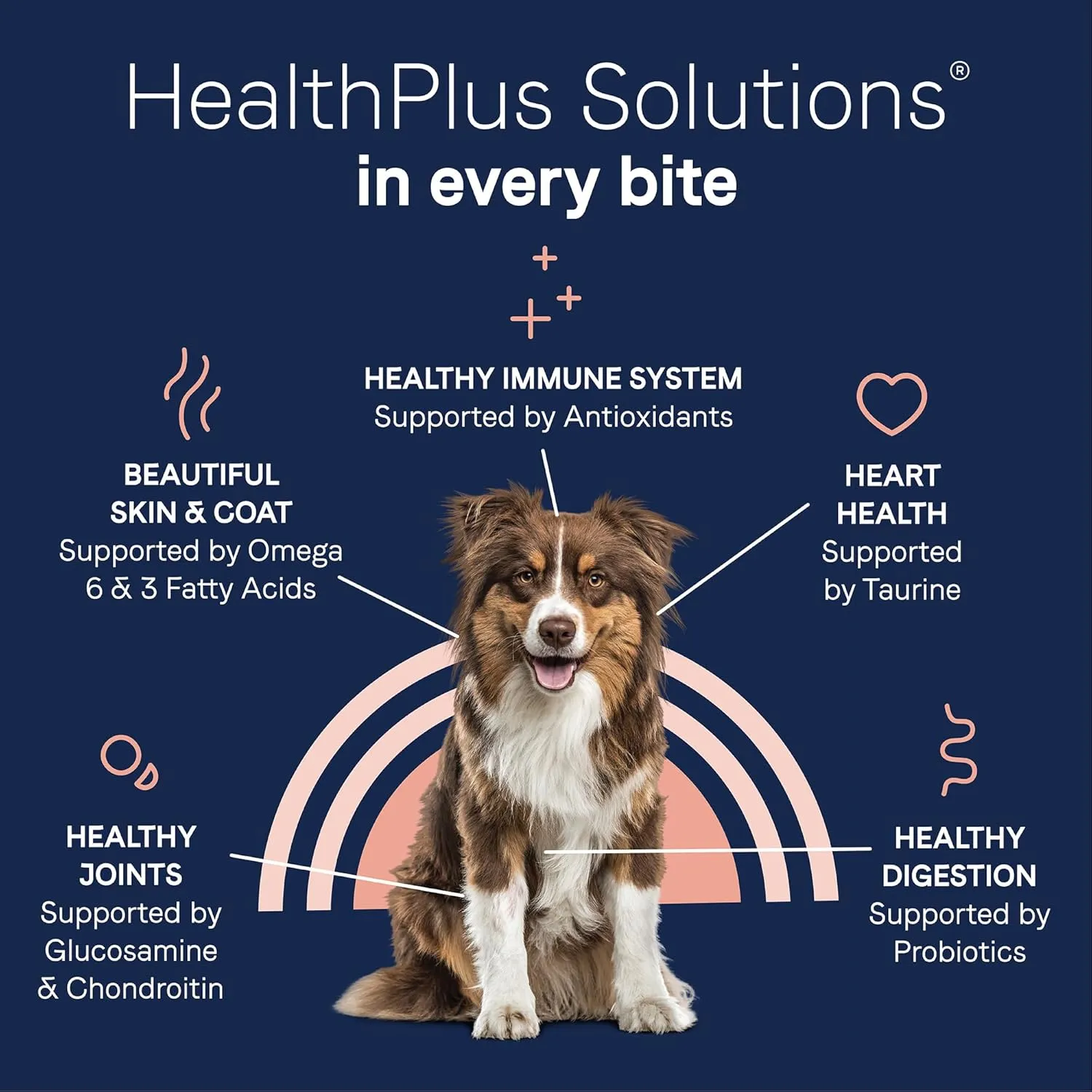 CANIDAE Pure Adult Dry Dog Food with Wholesome Grains, Real Beef & Barley Recipe, 4 lbs.