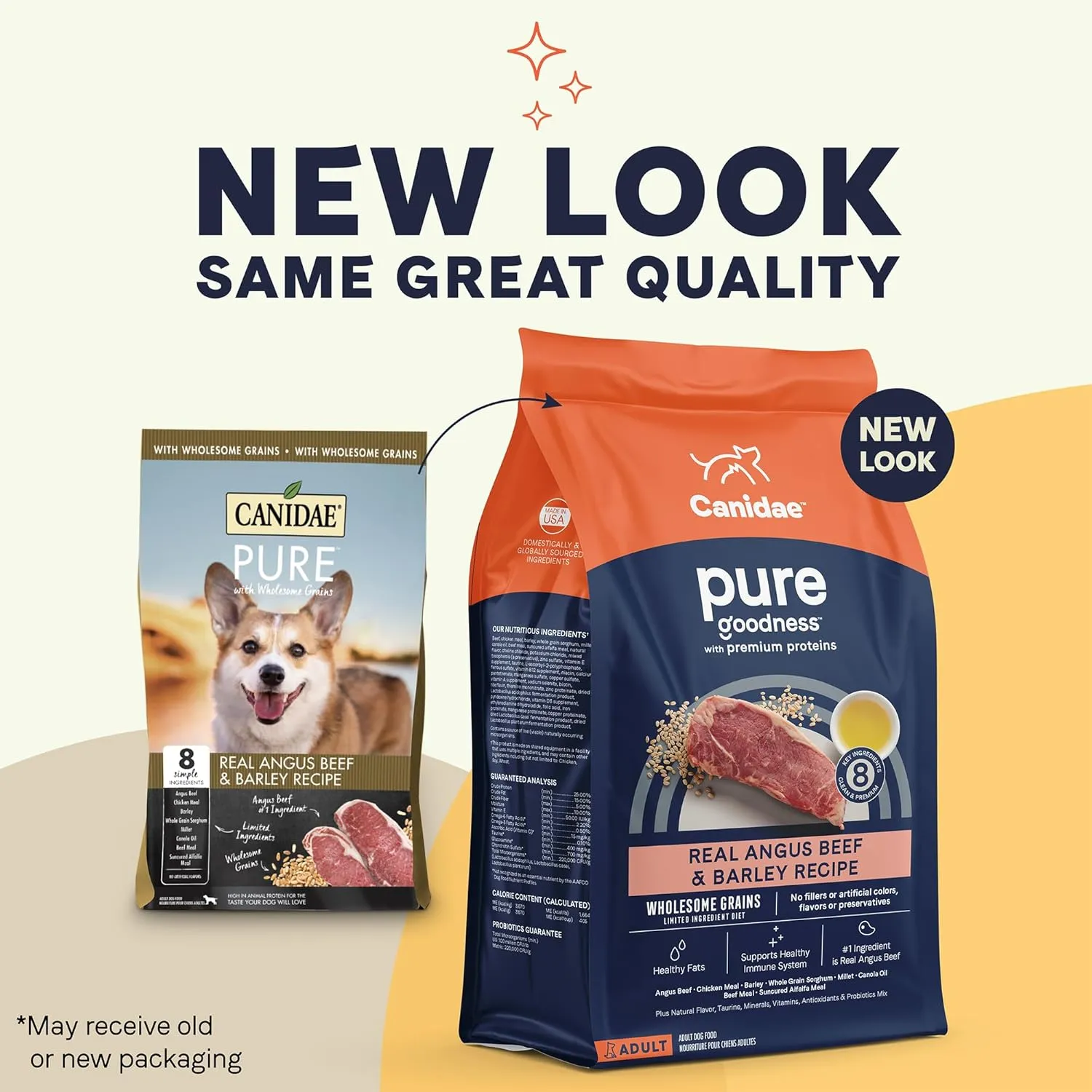 CANIDAE Pure Adult Dry Dog Food with Wholesome Grains, Real Beef & Barley Recipe, 4 lbs.