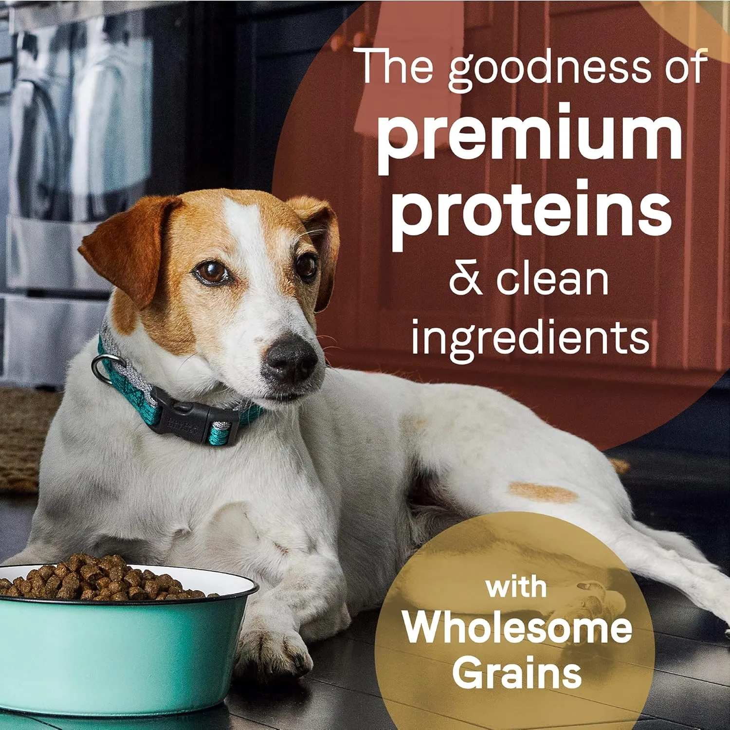 CANIDAE Pure Adult Dry Dog Food with Wholesome Grains, Real Beef & Barley Recipe, 4 lbs.