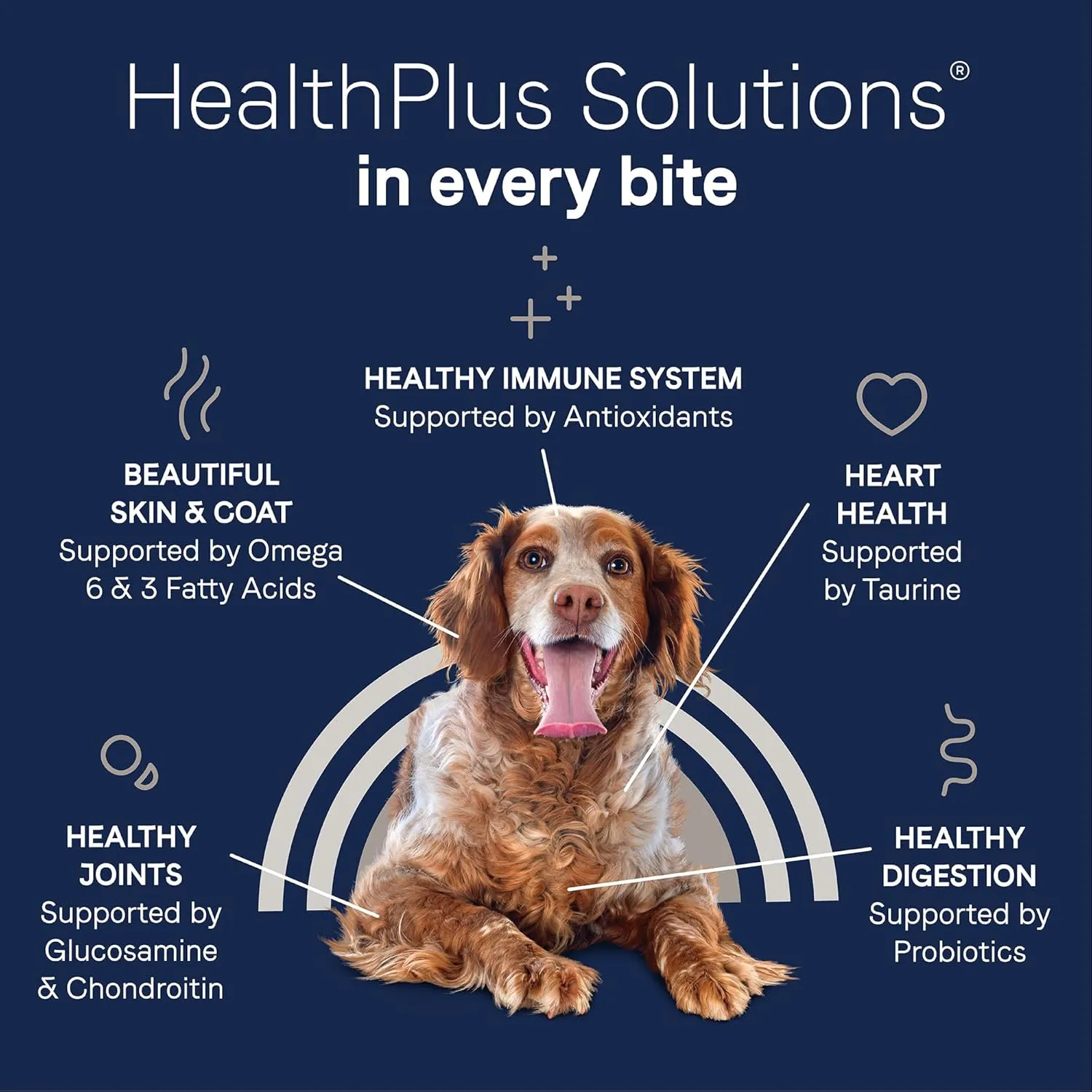 Canidae Pure Grain Free Dry Dog Food for Seniors, Real Chicken, Sweet Potato & Garbanzo Bean, 12 lbs.