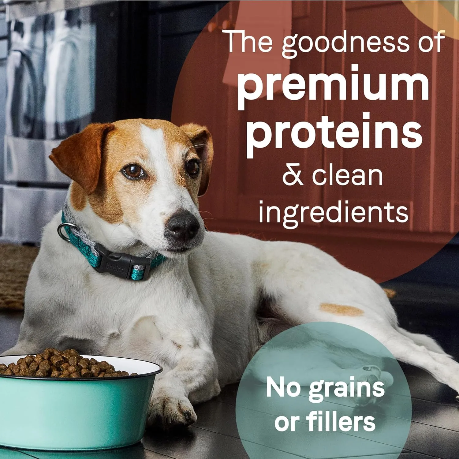 Canidae Pure Real Salmon & Sweet Potato Recipe Adult Dry Dog 4 LB (packaging may vary)