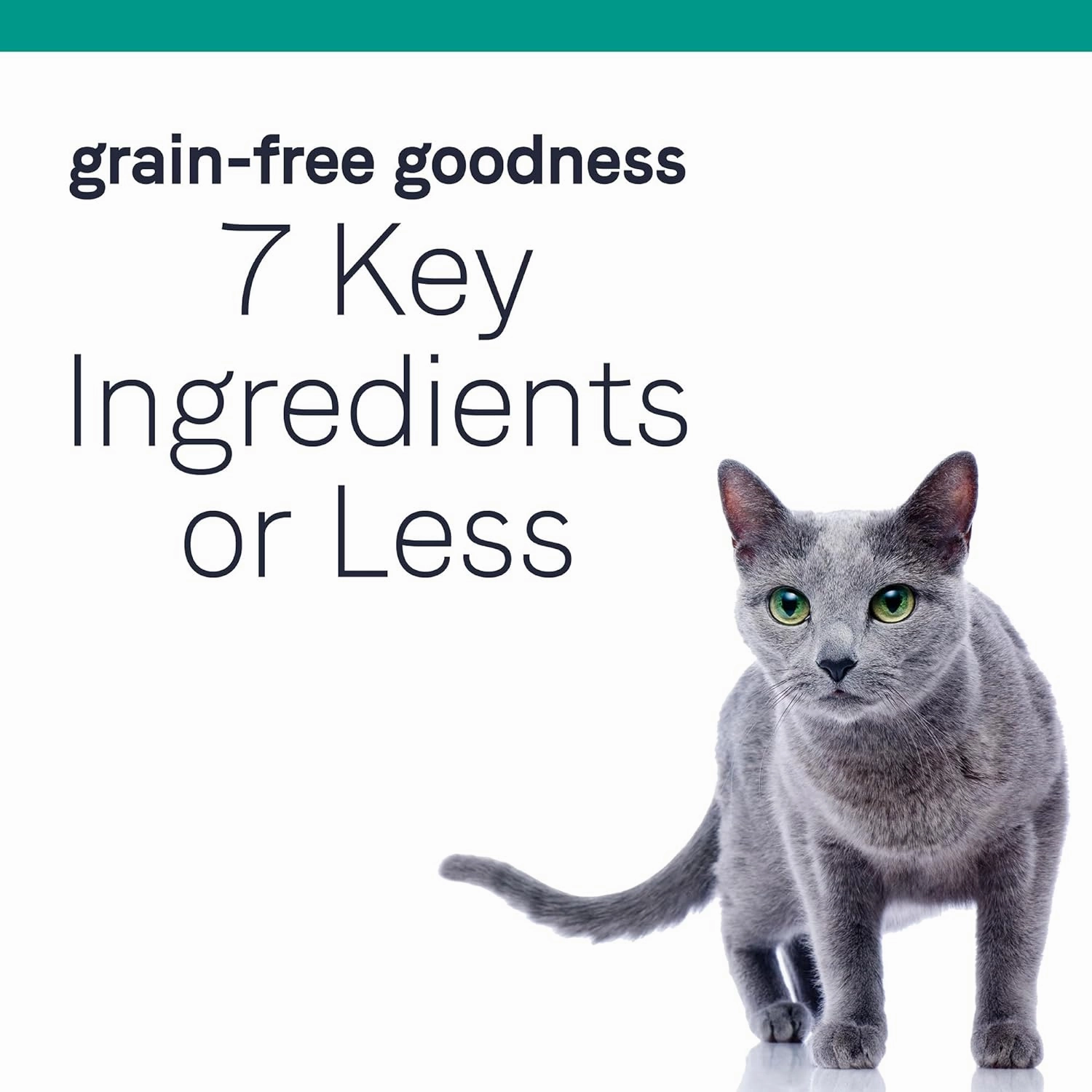Canidae Pure Grain Free Dry Cat Food with Real Chicken, 10 lbs.
