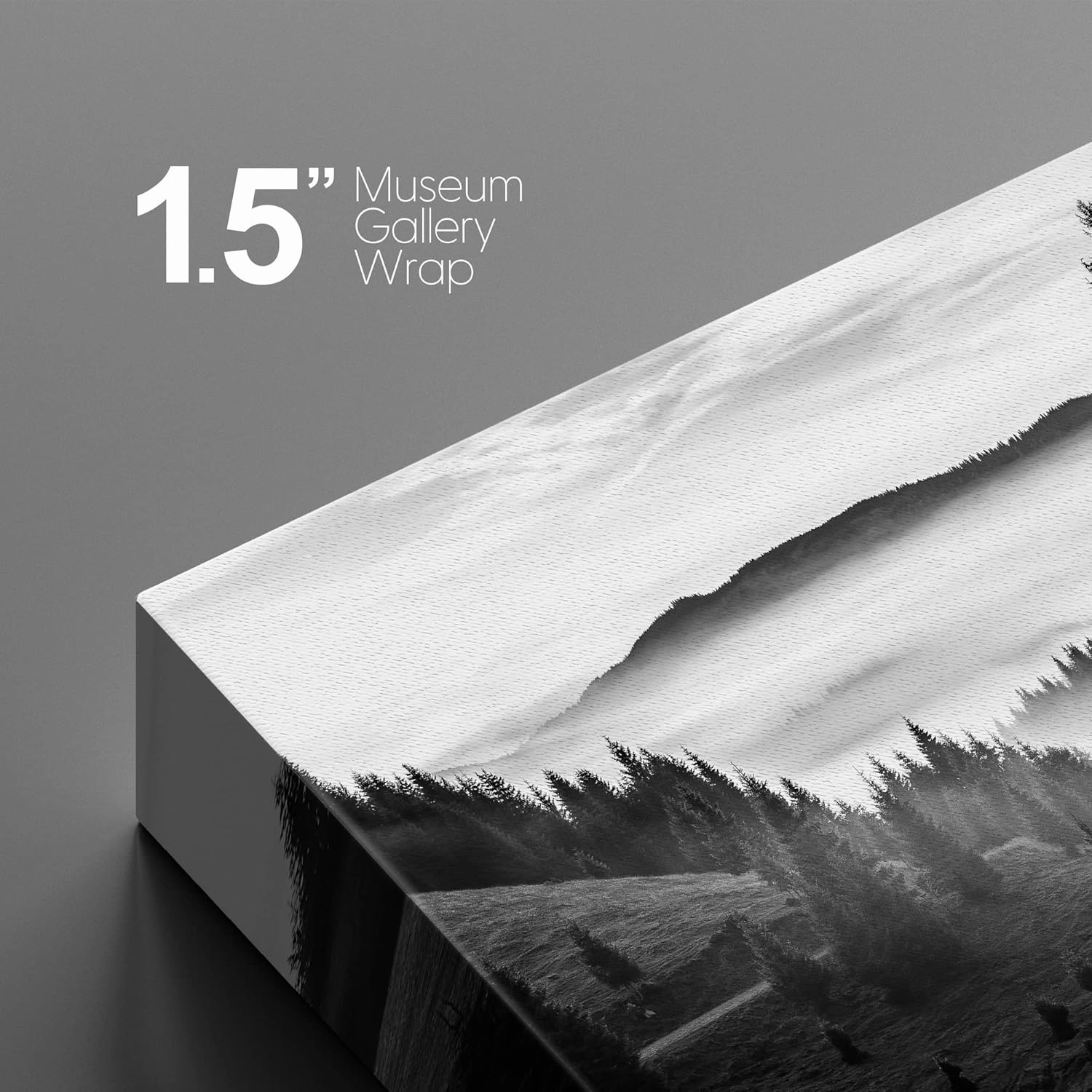 Canvas Print Wall Art Woodland Nursery Decor Misty Mountain Forest with Pine Trees Nature Wilderness Photography Realism Rustic Scenic Black and White for Living Room, Bedroom, Office - 12"x18"