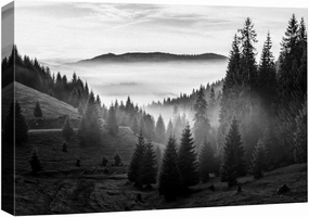 Canvas Print Wall Art Woodland Nursery Decor Misty Mountain Forest with Pine Trees Nature Wilderness Photography Realism Rustic Scenic Black and White for Living Room, Bedroom, Office - 12"x18"