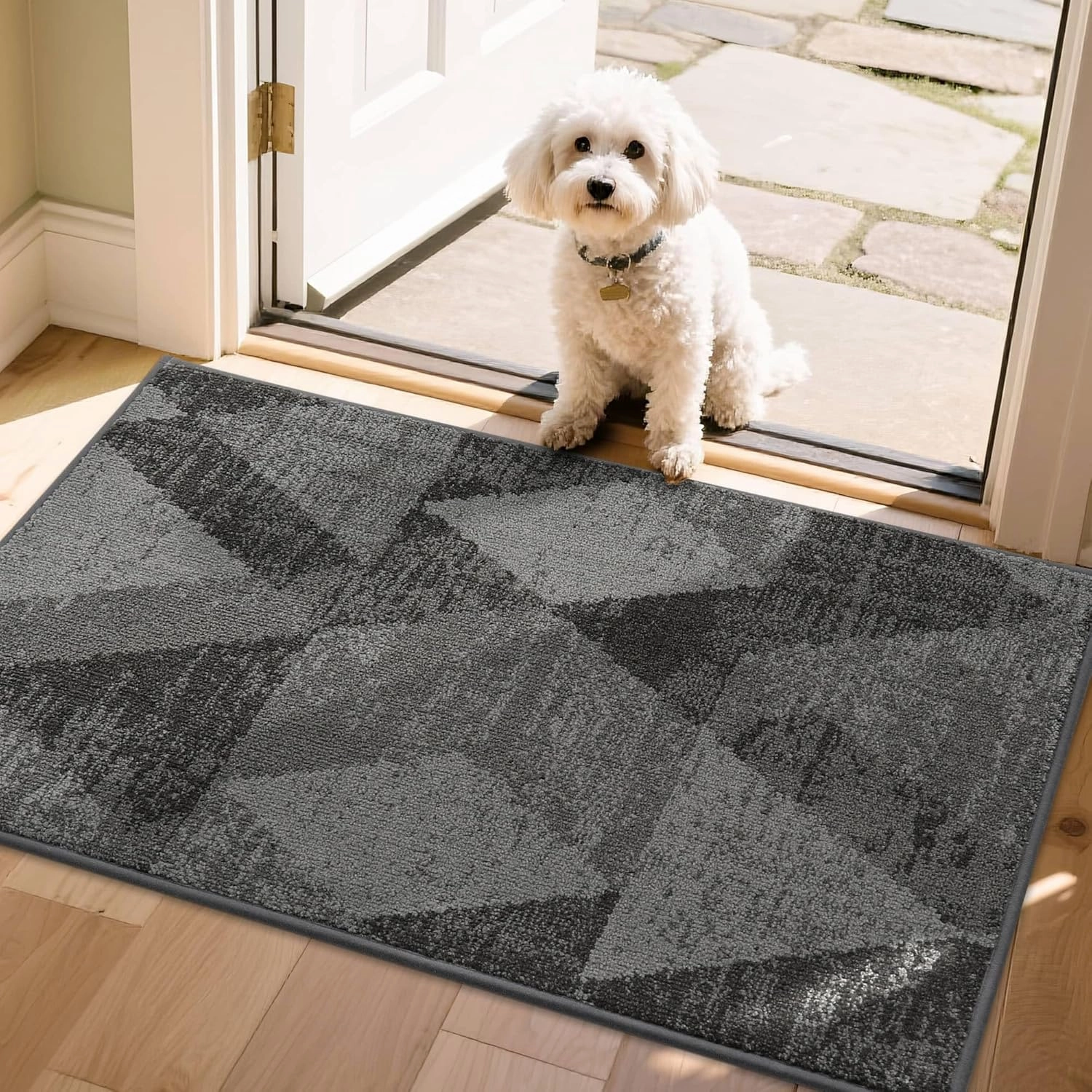COSY HOMEER Door Mat Entrance, 24"x36" Non-Slip Absorbent Doormat for Front Door, Low Profile Dirt Trapper Entryway Mat, Washable Rugs for Muddy Paws & High Traffic Areas, Gray