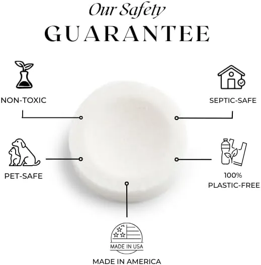 Dissolvable Air Freshener Toilet Tablets | Evergreen   Currant | Long-Lasting, Non-Toxic | Made in The USA | Discreet Packaging, Septic Safe | Travel Friendly (20 Bag)