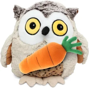 DolliBu Happy Easter Super Soft Plush Fat Brown Owl with Carrot - Cute Stuffed Animals with Carrot Plush Toy, with Name Personalization, Spring Easter Plush Animal - 8 Inches