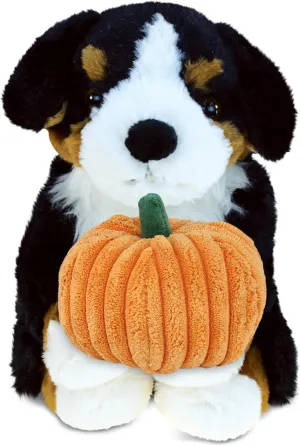DolliBu Super Soft Bernese Mountain Dog Stuffed Animal with Pumpkin Decor - Pumpkin Plush Animal for Fall, Halloween and Thanksgiving, Pumpkin Toy for Baby, Kids, Adults - 8 Inches