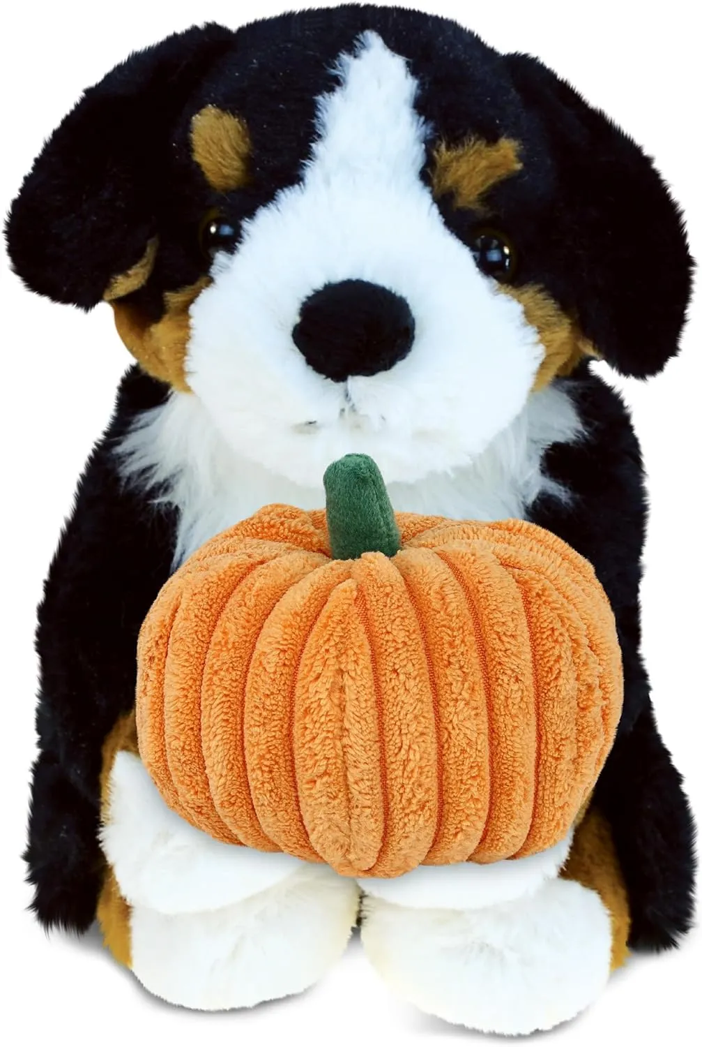 DolliBu Super Soft Bernese Mountain Dog Stuffed Animal with Pumpkin Decor - Pumpkin Plush Animal for Fall, Halloween and Thanksgiving, Pumpkin Toy for Baby, Kids, Adults - 8 Inches