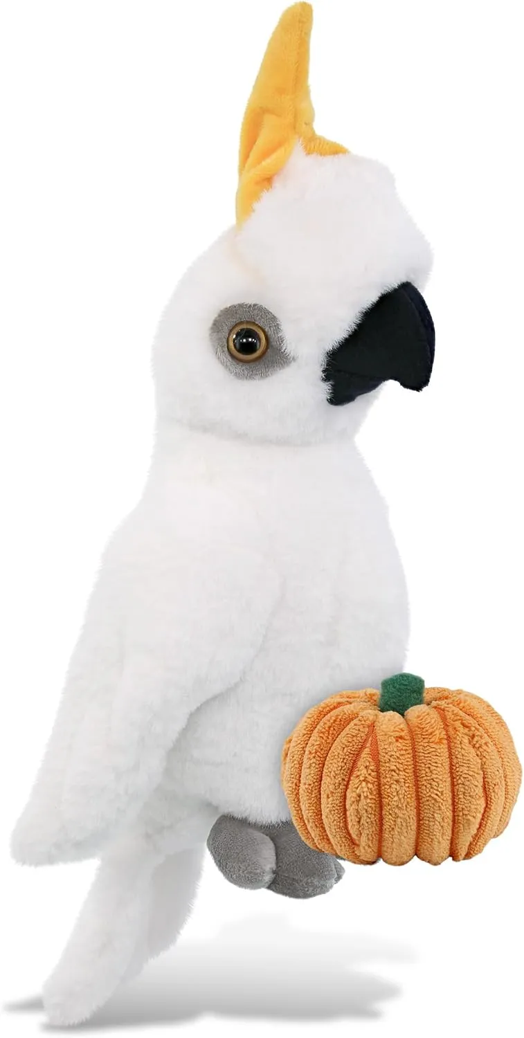 DolliBu Super Soft Cockatoo Stuffed Animal with Pumpkin Decor and Name Personalization - Pumpkin Plush Animal for Fall, Halloween and Thanksgiving, Pumpkin Toy for Baby, Kids, Adults - 10 Inches