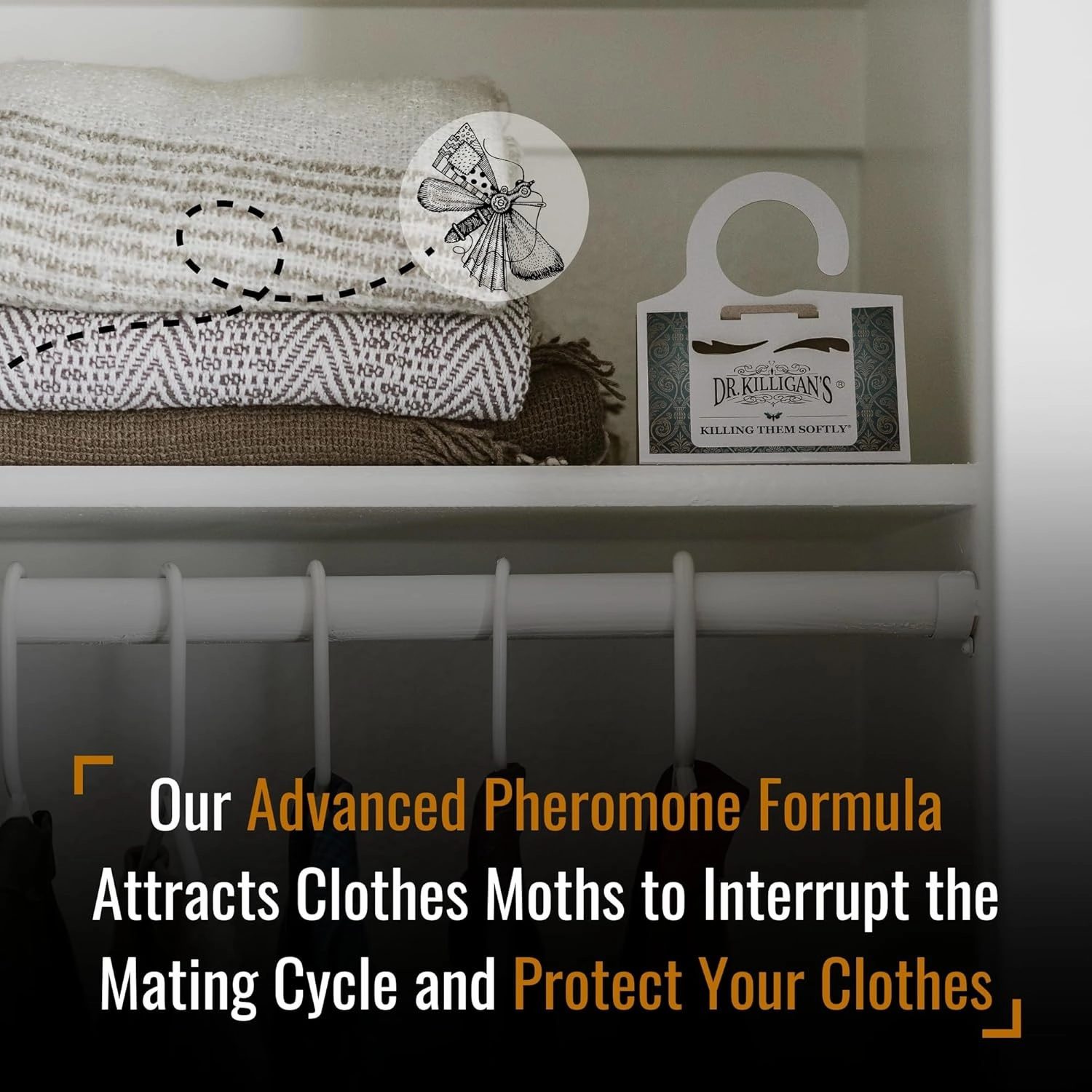 Dr. Killigan's Premium Double Potent Clothing Moth Traps with Pheromones Prime | Organic Clothes Moth Trap with Lure for Closets & Carpet | Case Making Moth Treatment & Prevention (6 Pack, White)