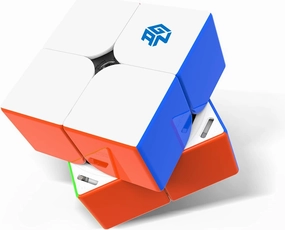 GAN 251 M Pro, 2x2 Magnetic Speed Cube Stickerless Gans 251 Mini Cube Puzzle Toy for Beginner(Frosted Surface Primary Internal)