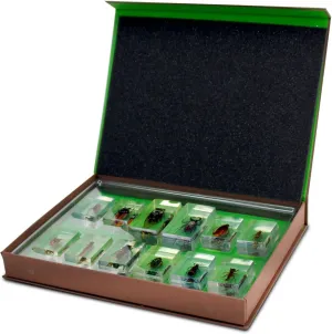 Geoworld Nature Collection Insects in Resin: 12 Insects - Wasps, Spiders, Beetles and More - STEM Education or Collection Set