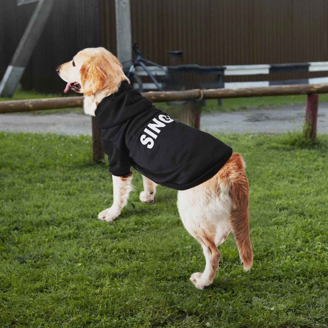 GreenJoy Dog Hoodie & Sweater - Cold Weather Coat for Puppies, Cats & Dogs (Large, Black)
