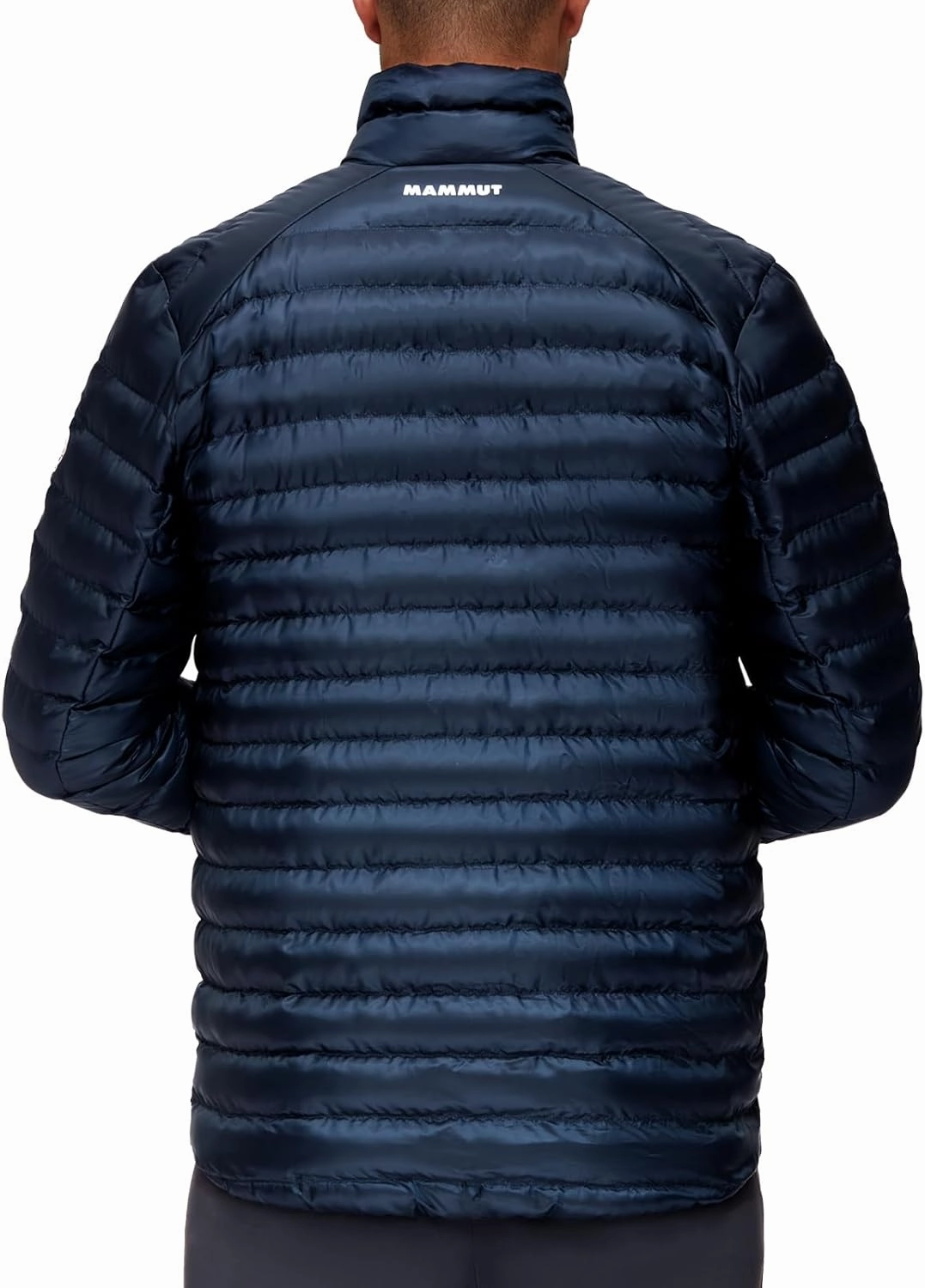 Mammut Albula in Jacket - Men's
