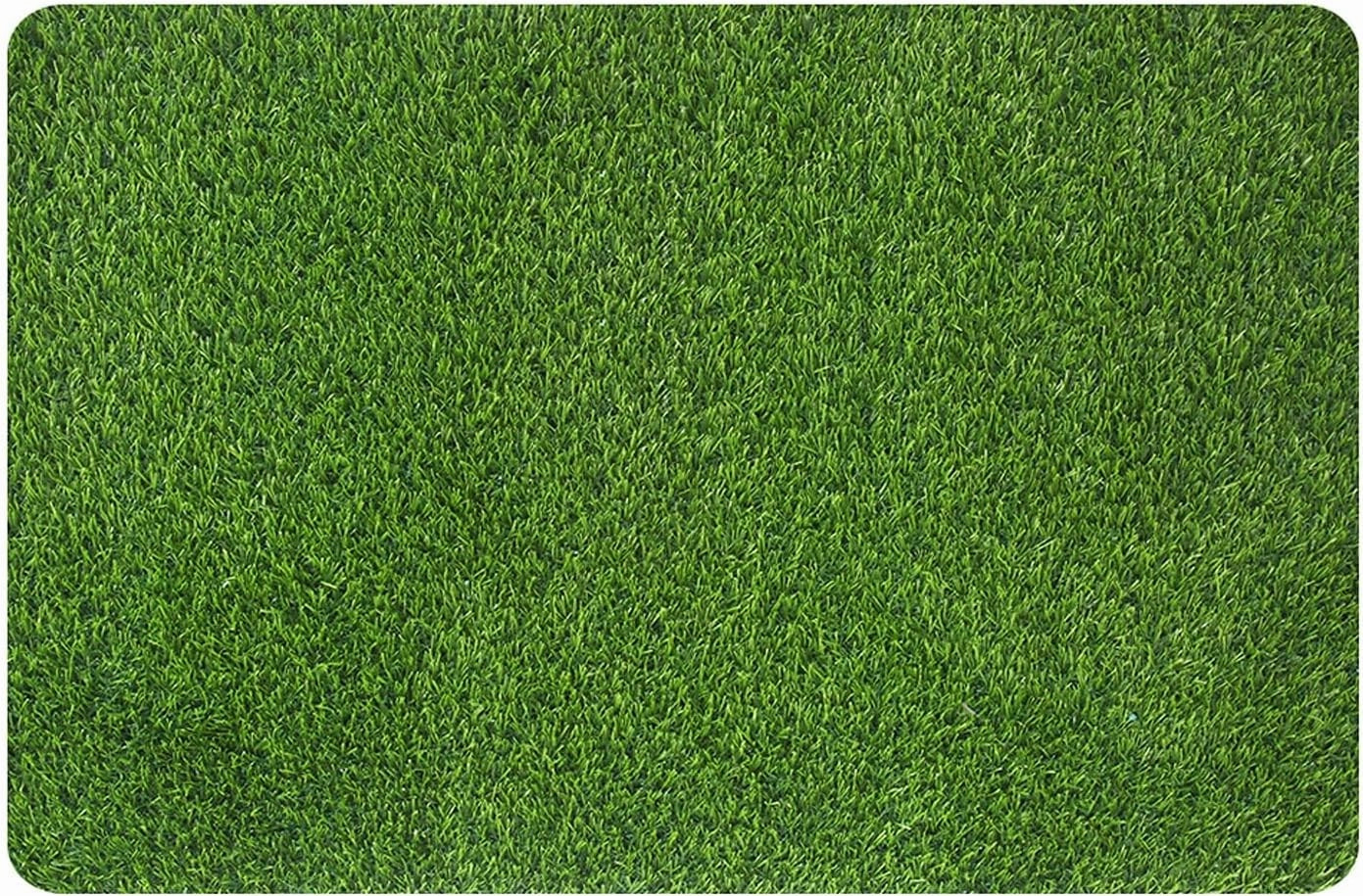 MAYSHINE Artificial Grass Door Mat - for Entryway Indoor/Outdoor Green Turf Rug, Perfect for Dog Potty Training and Multi-Purpose Use 35x24 Inches