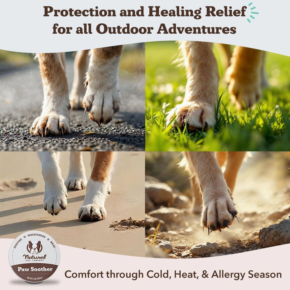 Natural Dog Company Paw Soother Balm & Wax for Dogs, Moisturizing Relief for Dry, Cracked Paws, Lick-Safe,Repairs & Heals, Protects Against Extreme Weather, Coconut Oil & Vitamin E, 1 oz Tin