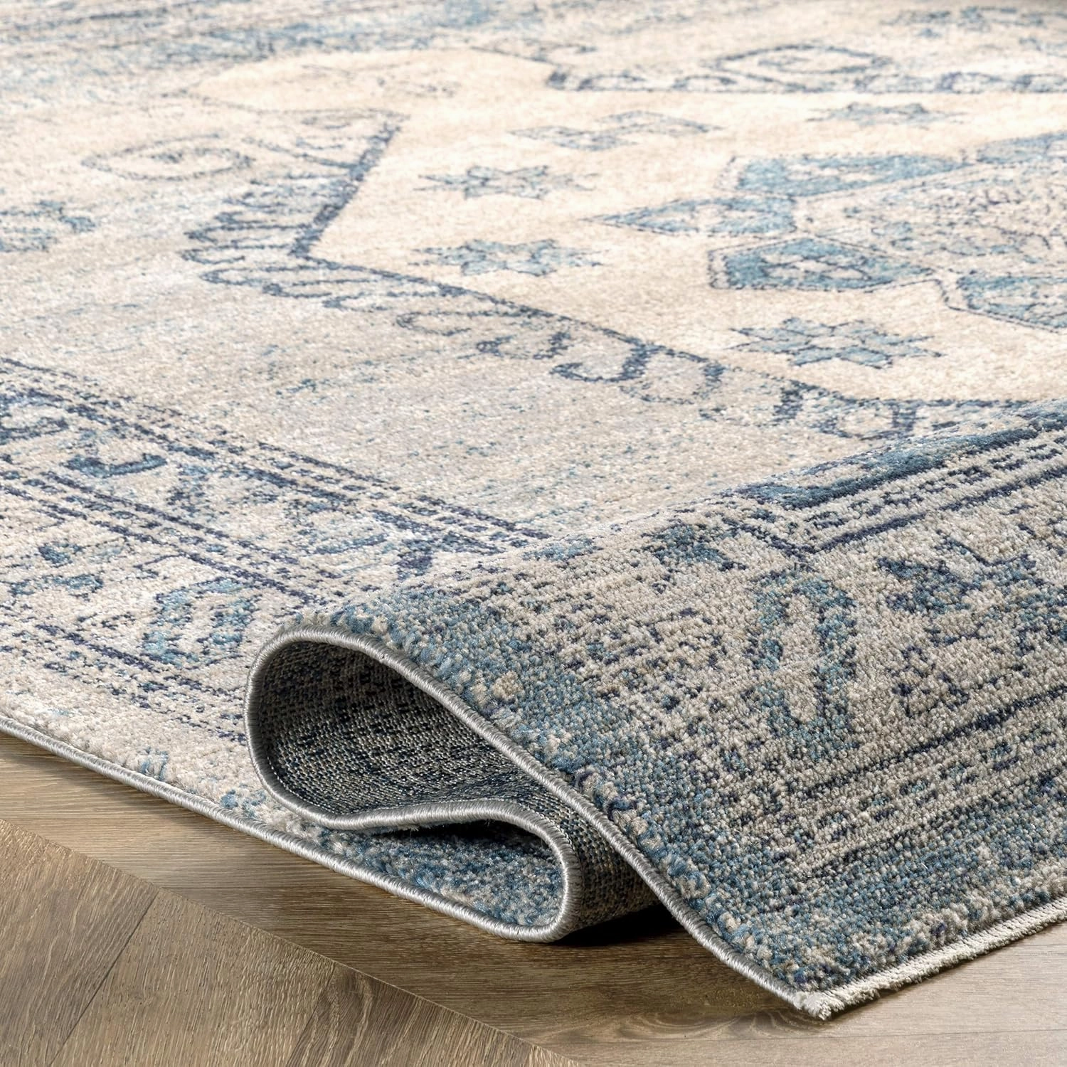 nuLOOM Alexis Vintage Distressed Medallion Area Rug, 4x6, Blue