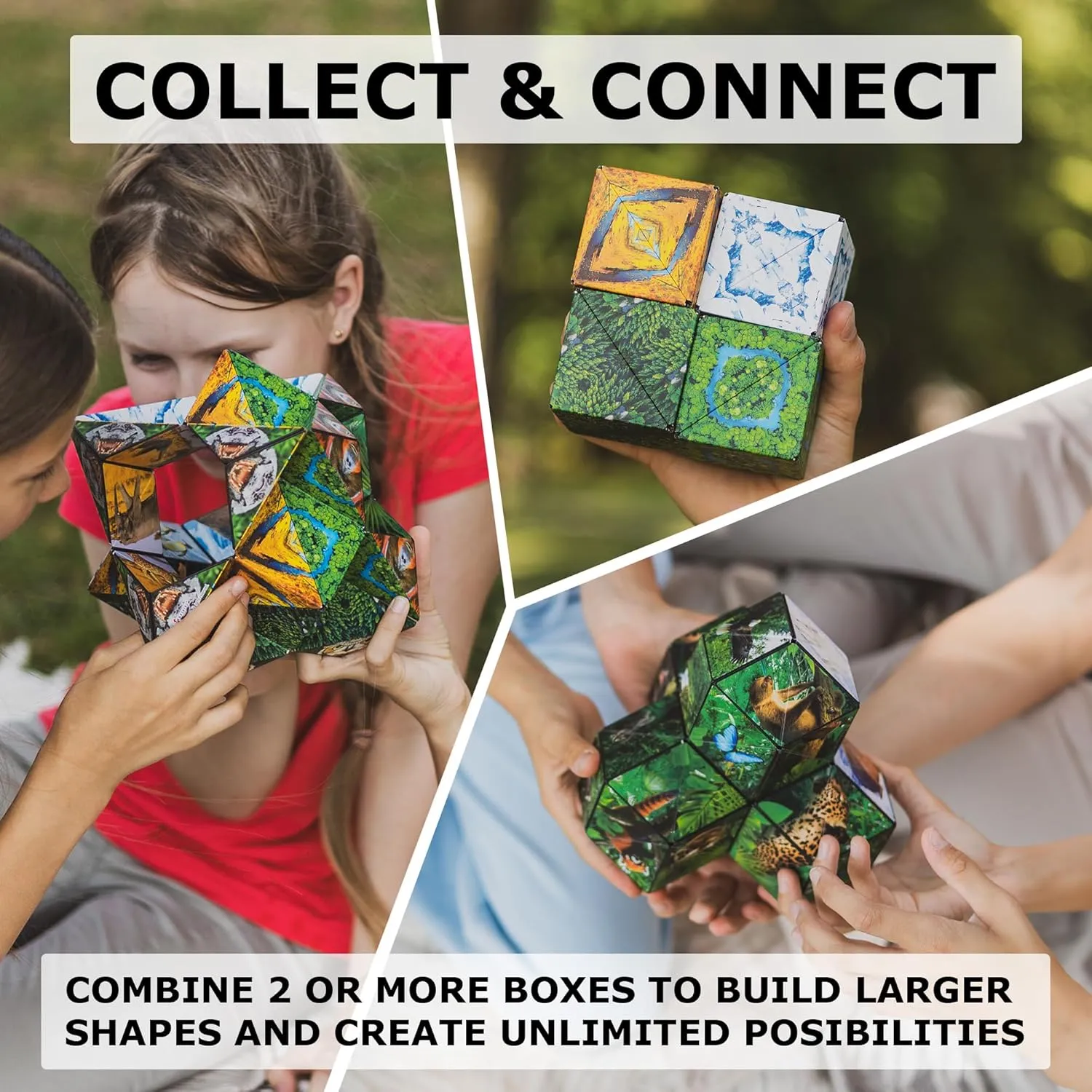 SHASHIBO Shape Shifting Box - Award-Winning, Patented Fidget Cube w/ 36 Rare Earth Magnets - Transforms Into Over 70 Shapes, Download Fun in Motion Toys Mobile App (Wild Series - Forest)