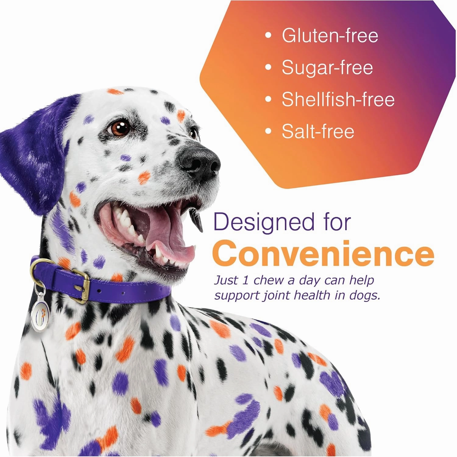 Soft Chews Hip and Joint Support Supplement for Large Dogs - Movoflex 60 Count by Virbac