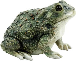Texas Toad by Michael Carr Designs - Outdoor Toad Figurine for gardens, patios and lawns (80072)