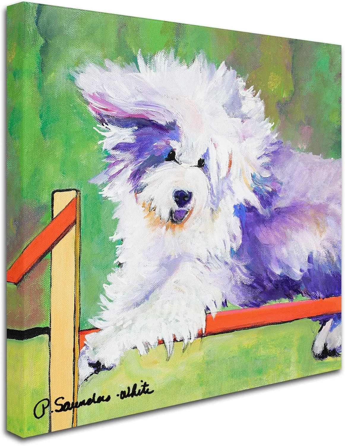 Trademark Fine Art Tibetan Trials Canvas Artwork by Pat Saunders, 14 by 14-Inch, White
