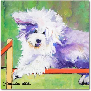 Trademark Fine Art Tibetan Trials Canvas Artwork by Pat Saunders, 14 by 14-Inch, White