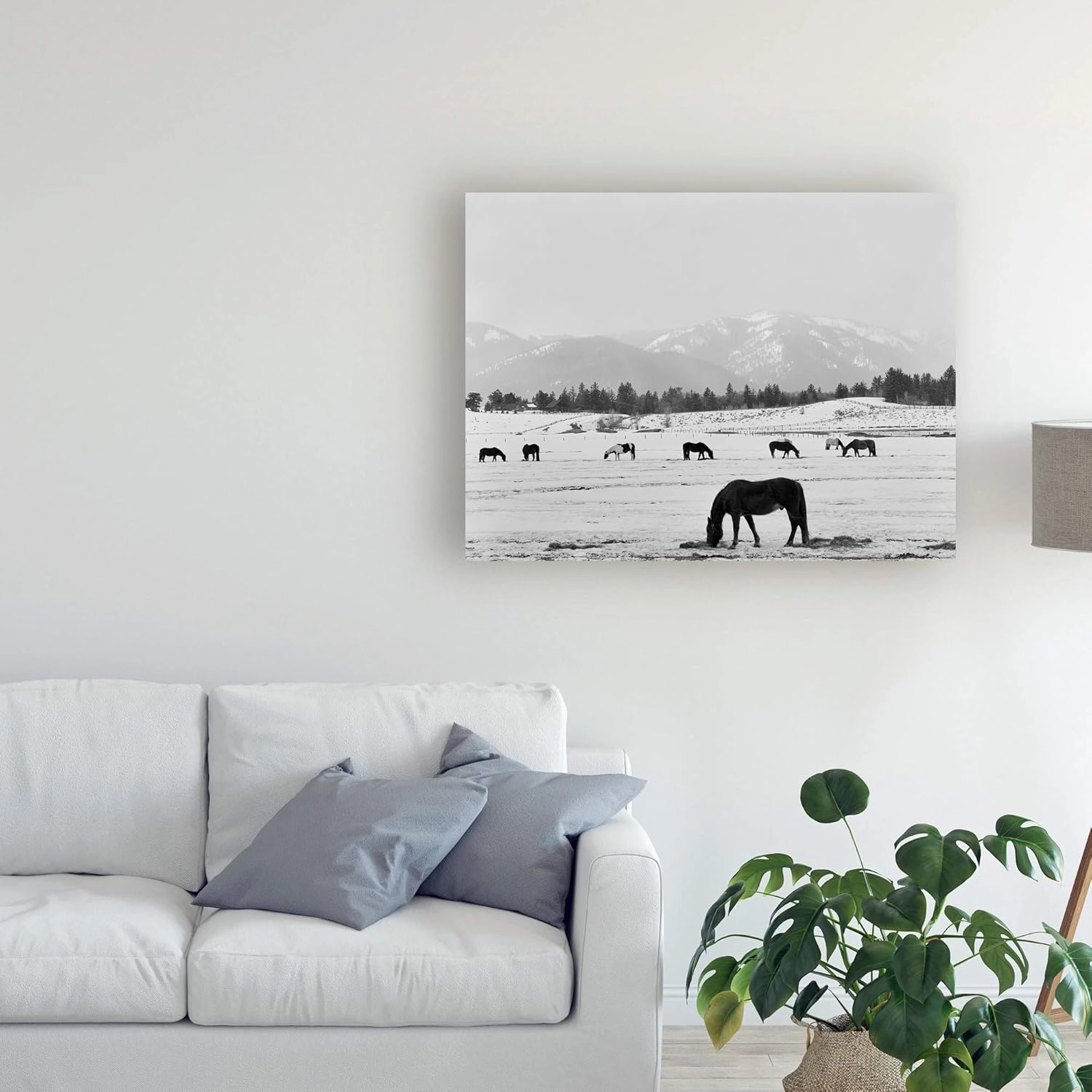Trademark Fine Art, 35x47 Black Horse in Winters Mountains Wyoming by Monte Nagler