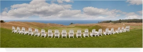Trademark Fine Art, 8x24 Bluff Panorama Arcadia Michigan by Monte Nagler